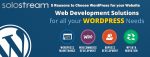 5 Best Reasons to Choose WordPress