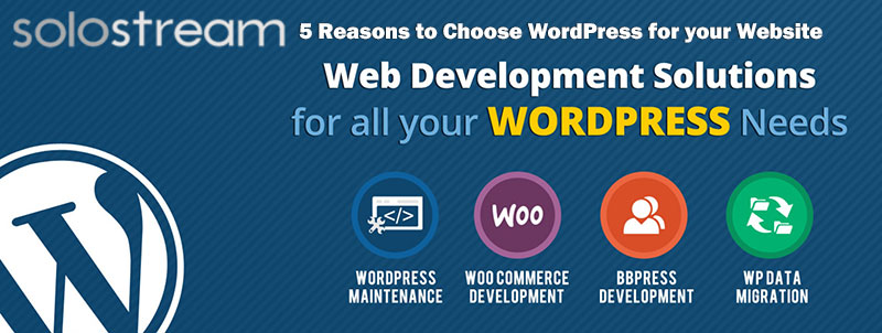 5 Reasons to Choose WordPress