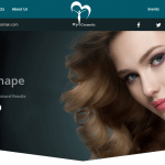 WP-Cosmetic| Premium WordPress Themes | WordPress themes