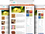 Premium WordPress Themes