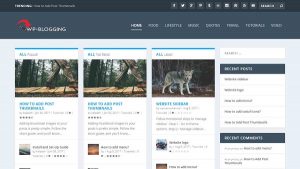 Wp-Blogging premium WordPress themes