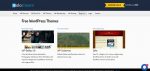 Free WordPress Themes by SoloStream
