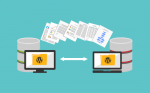 Gradually Guide to Migrate Your WordPress Site to a New Host