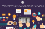 Top 10 Premium WordPress Themes from SoloStream 2020